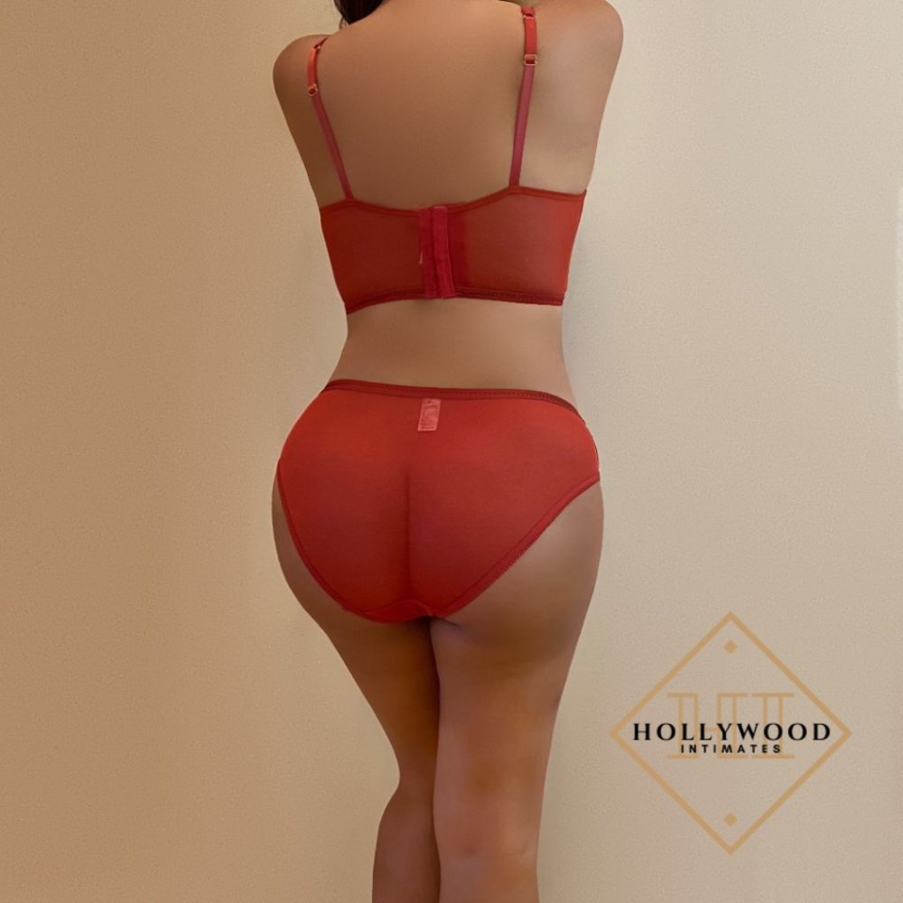 Burnt Orange Lace Bustier Set - Picture 3 of 3